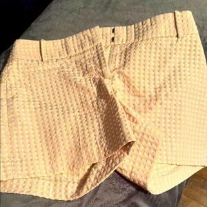 LOFT High Waist Textured Cream Shorts